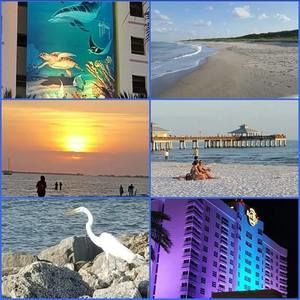 Meet your Posher, Gail